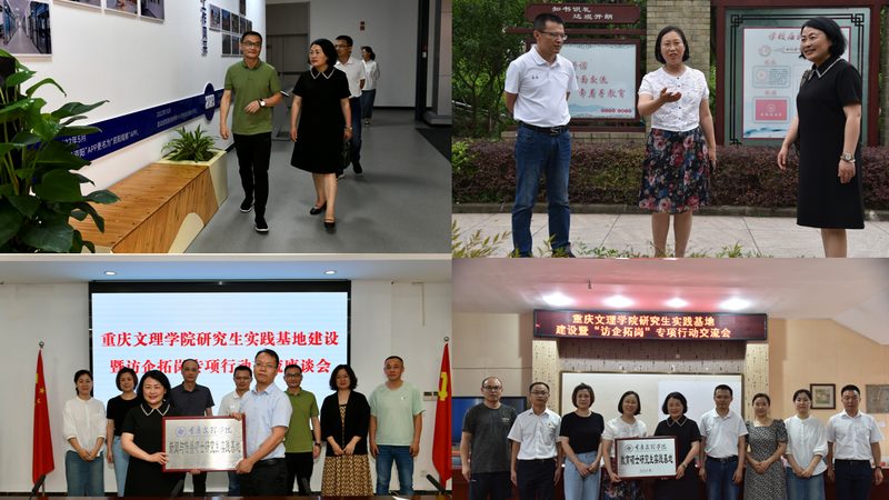 成都VI设计品牌全案流程解析：打造品牌形象的关键步骤**