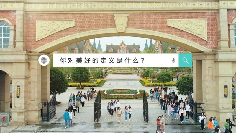 mg动画素材批发网站：揭秘优质素材的选择之道